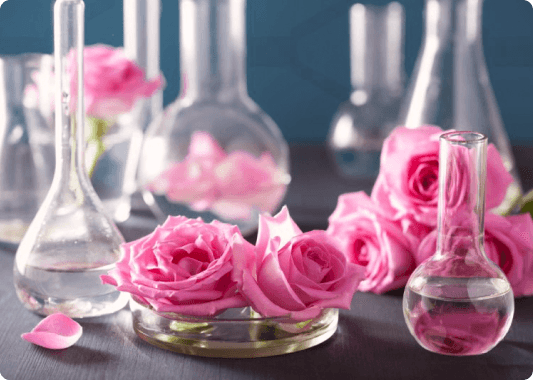 SKIN-COMFORT COMPLEX